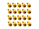 20x M3x5 DIN912 goldene Zylinderkopfschraube Stahl 12,9...