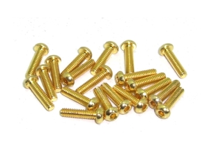 20x M2x8 ISO7380 goldene Linsenkopfschraube Stahl 12,9 Titan Nitrid beschichtet