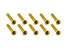 20x M3x14 ISO7380 goldene Linsenkopfschraube Stahl 12,9 Titan Nitrid beschichtet