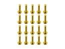 20x M3x14 ISO7380 goldene Linsenkopfschraube Stahl 12,9 Titan Nitrid beschichtet