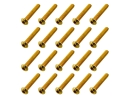 20x M3x18 ISO7380 goldene Linsenkopfschraube Stahl 12,9 Titan Nitrid beschichtet