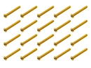 20x M3x25 ISO7380 goldene Linsenkopfschraube Stahl 12,9...