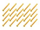 20x M3x30 ISO7380 goldene Linsenkopfschraube Stahl 12,9 TIN Beschichtung