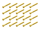 20x M3x25 DIN912 (Gewinde 18mm) goldene...