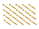 20x M3x30 DIN912 (Gewinde 18mm) goldene...