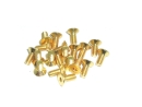 20x M2,5x6 DIN7991 goldene Senkkopfschraube Stahl 12,9 Titan Nitrid beschichtet