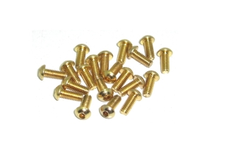 Schrauben Linsenkopf Senkkopf Zylinderkopf Madenschraube M2 M2,5 M3 M4 TIN gold 20 Stück Linsenkopfschraube ISO7380 M2,5 6mm