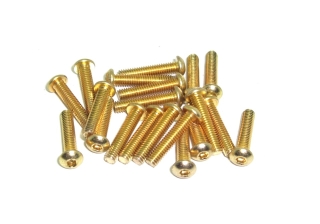 Schrauben Linsenkopf Senkkopf Zylinderkopf Madenschraube M2 M2,5 M3 M4 TIN gold 20 Stück Linsenkopfschraube ISO7380 M2,5 12mm