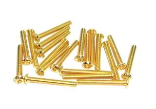 Schrauben Linsenkopf Senkkopf Zylinderkopf Madenschraube M2 M2,5 M3 M4 TIN gold 20 Stück Linsenkopfschraube ISO7380 M3 25mm