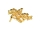 Senkkopfschrauben Set M2 x 4-12mm TiN gold - 100 Stück - rcbay