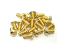 Linsenkopfschrauben Set M4 x 6-14mm TiN gold - 100...