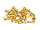 Linsenkopfschrauben Set M4 x 6-14mm TiN gold - 100 Stück - rcbay