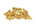 Senkkopfschrauben Set M4 x 6-14mm TiN gold - 100 Stück - rcbay