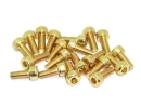 Zylinderkopfschrauben Set M4 x 6-14mm TiN gold - 100...