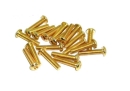 Linsenkopfschrauben Set M3 x 14-20mm TiN gold - 80...